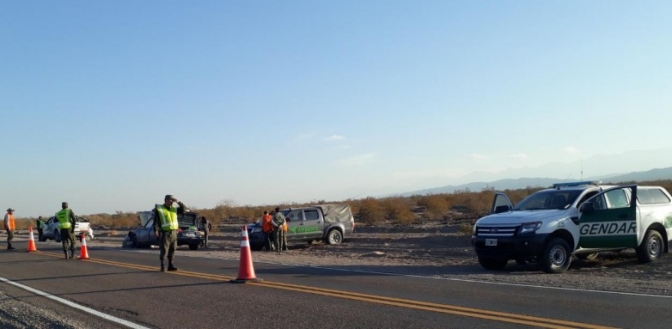 En operativos de ruta, decomisaron flora y fauna