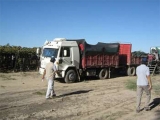 Es obligatorio el encarpado para trasladar la fruta y realizar la cosecha completa
