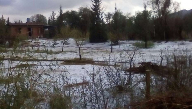 La Rioja: temporal de granizo destruyó cultivos de Famatina