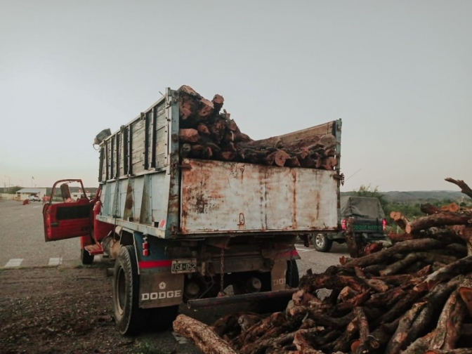 Transporte ilegal de leña y captura de aves