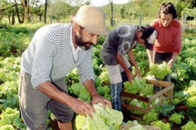 Destinan 1.000 millones para la producción de alimentos en la agricultura familiar