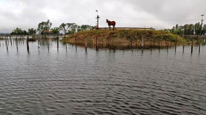 Pérdidas por u$s500 millones en el campo por las inundaciones