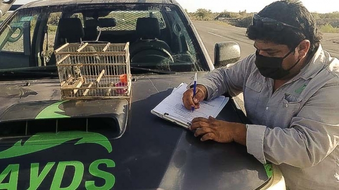 Captura de aves, la infracción más registrada el fin de semana