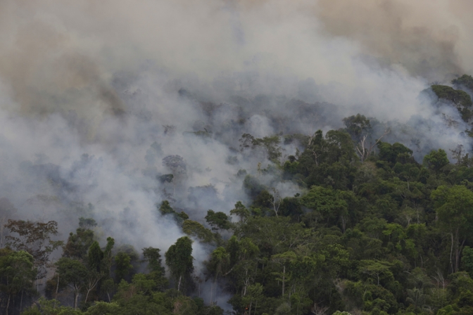 Amazonas: el fuego sigue avanzando sobre bosques protegidos