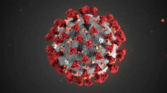 Suman 1.207 los fallecidos por coronavirus y 57.744 los infectados en el país