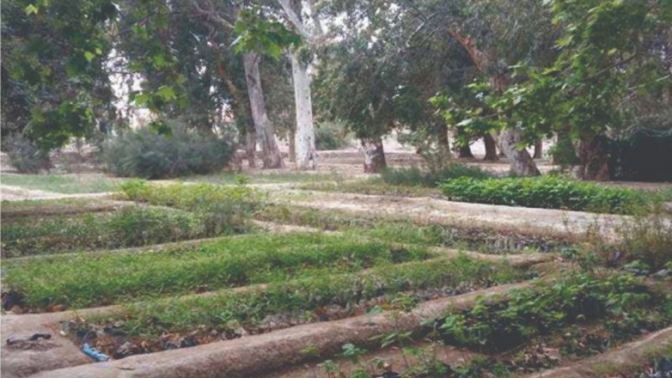 Comenzó la venta de plantas en el Vivero Provincial