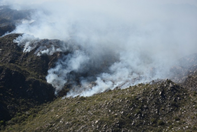 Informe oficial sobre incendios en Valle Fértil