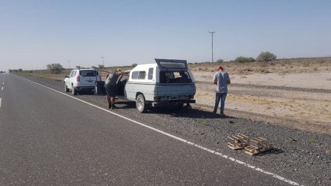 Ambiente realizó operativos de conservación de fauna en toda la provincia