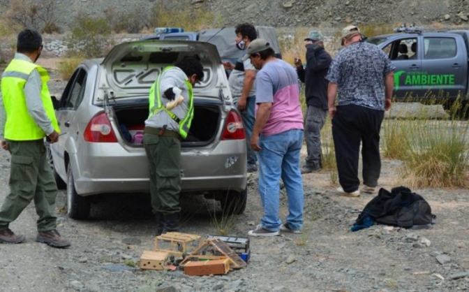 Ambiente realizó 7 infracciones por depredación de fauna