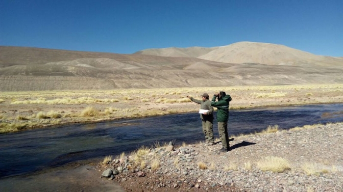 Ambiente realizó un nuevo monitoreo de variables biológicas en San Guillermo