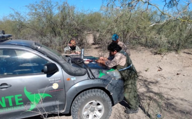 Captura de aves, la principal infracción registrada el fin de semana