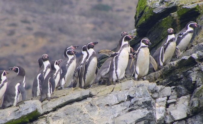 En Chile rechazan un proyecto minero por el riesgo ambiental