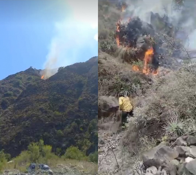 Incendio Forestal en Las Juntas, Valle Fértil, San Juan