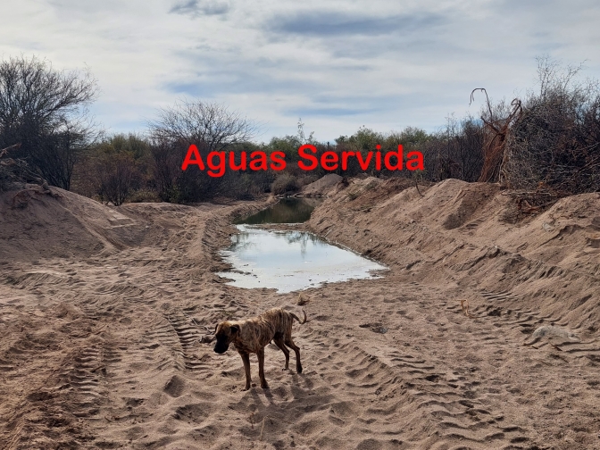 Grave denuncia por contaminación con aguas servidas en Balde del Sur, Valle Fértil